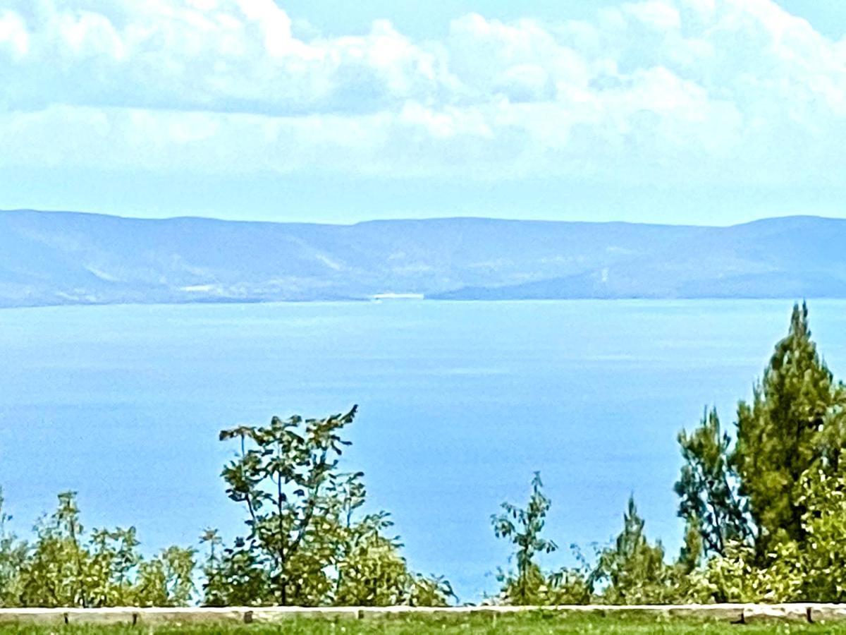 Luxury Panorama Vila With Amazing Seaview In Gondolici 7 Km From Rabac Лабин Экстерьер фото